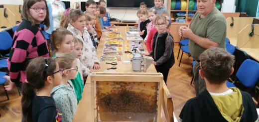 Gyerekek méhészeti előadáson az iskola könyvtárában
