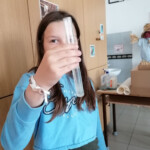 Egészségnapi bemutató